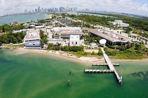 8. University of Miami – Coral Gables, Florida