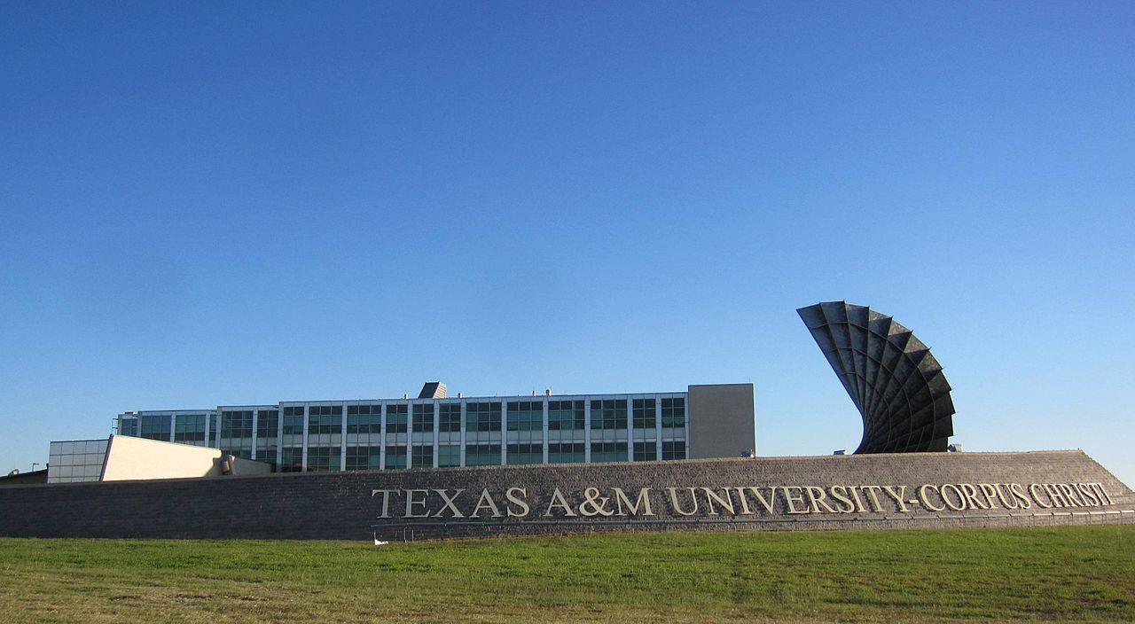 admissions essay for texas a&m Subscribe to aggiebound magazine, a recruitment publication for prospective students of texas a&m university, written by current students for future aggies and produced by the office of admissions at texas a&m university. admissions essay for texas a&m Subscribe to aggiebound magazine, a recruitment publication for prospective students of texas a&m university, written by current students for future aggies and produced by the office of admissions at texas a&m university.
