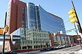 Temple University Temple University