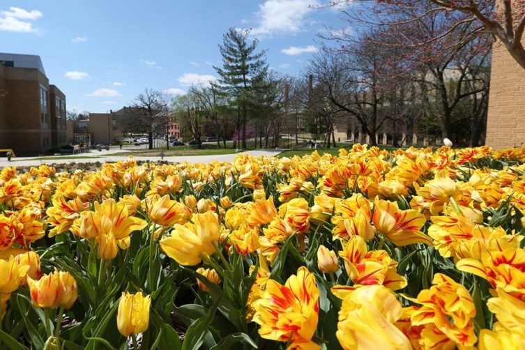 Missouri University of Science & Technology Missouri University of Science & Technology