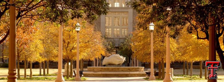 Texas Tech University Texas Tech University