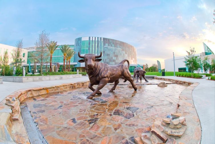 University of South Florida University of South Florida