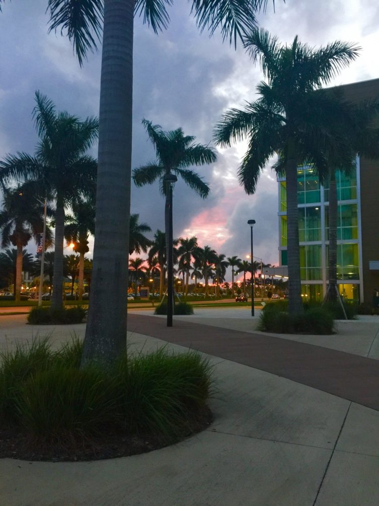 Florida Atlantic University Florida Atlantic University