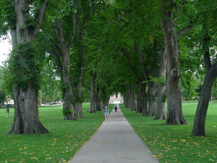 colorado.state colorado.state