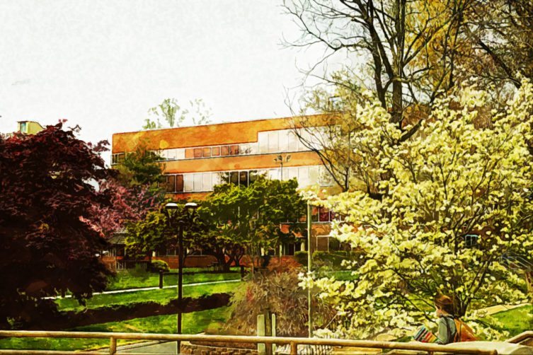 Holy Family University Holy Family University