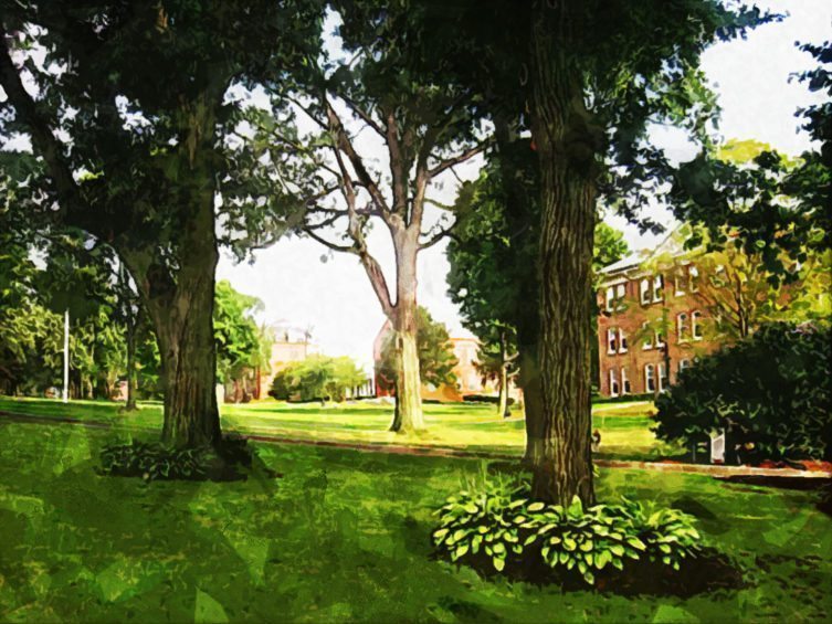 Tufts_University Tufts_University