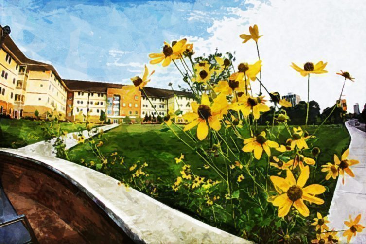 University-of-Michigan-Flint-1024x682 University-of-Michigan-Flint-1024x682