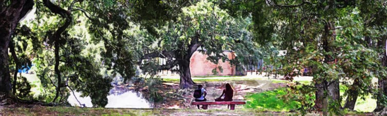southern-university-and-am-college southern-university-and-am-college
