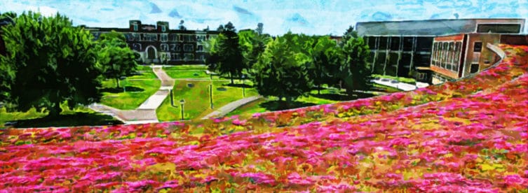 university-of-wisconsin-superior university-of-wisconsin-superior