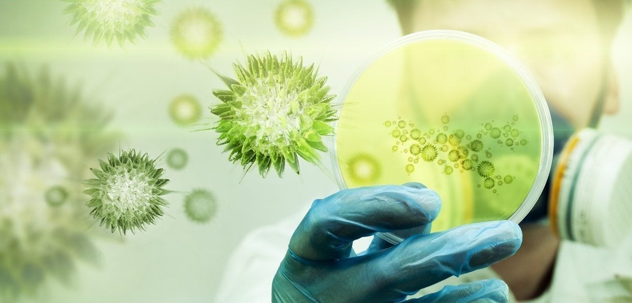 Public Health top degrees of 2017 Public Health top degrees of 2017