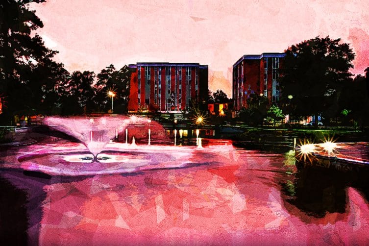 University of North Carolina at Pembroke University of North Carolina at Pembroke