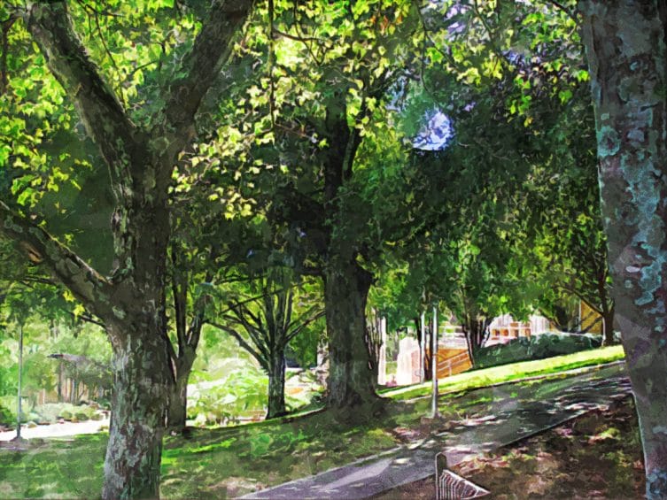 dalton_state_college dalton_state_college