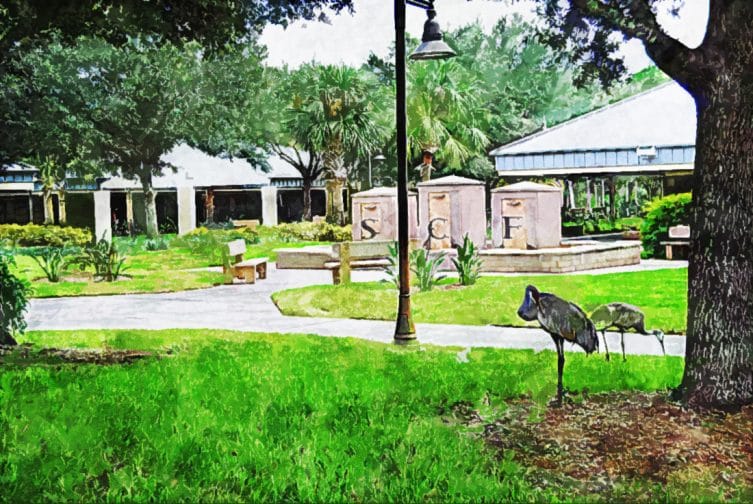 state_college_florida_manatee_sarasota state_college_florida_manatee_sarasota