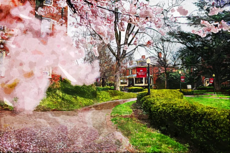 Roanoke College Roanoke College