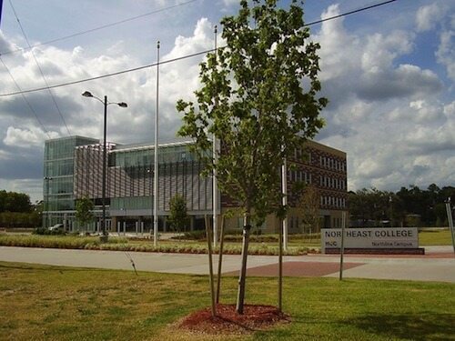 houston-community-college-northeast-college-northline