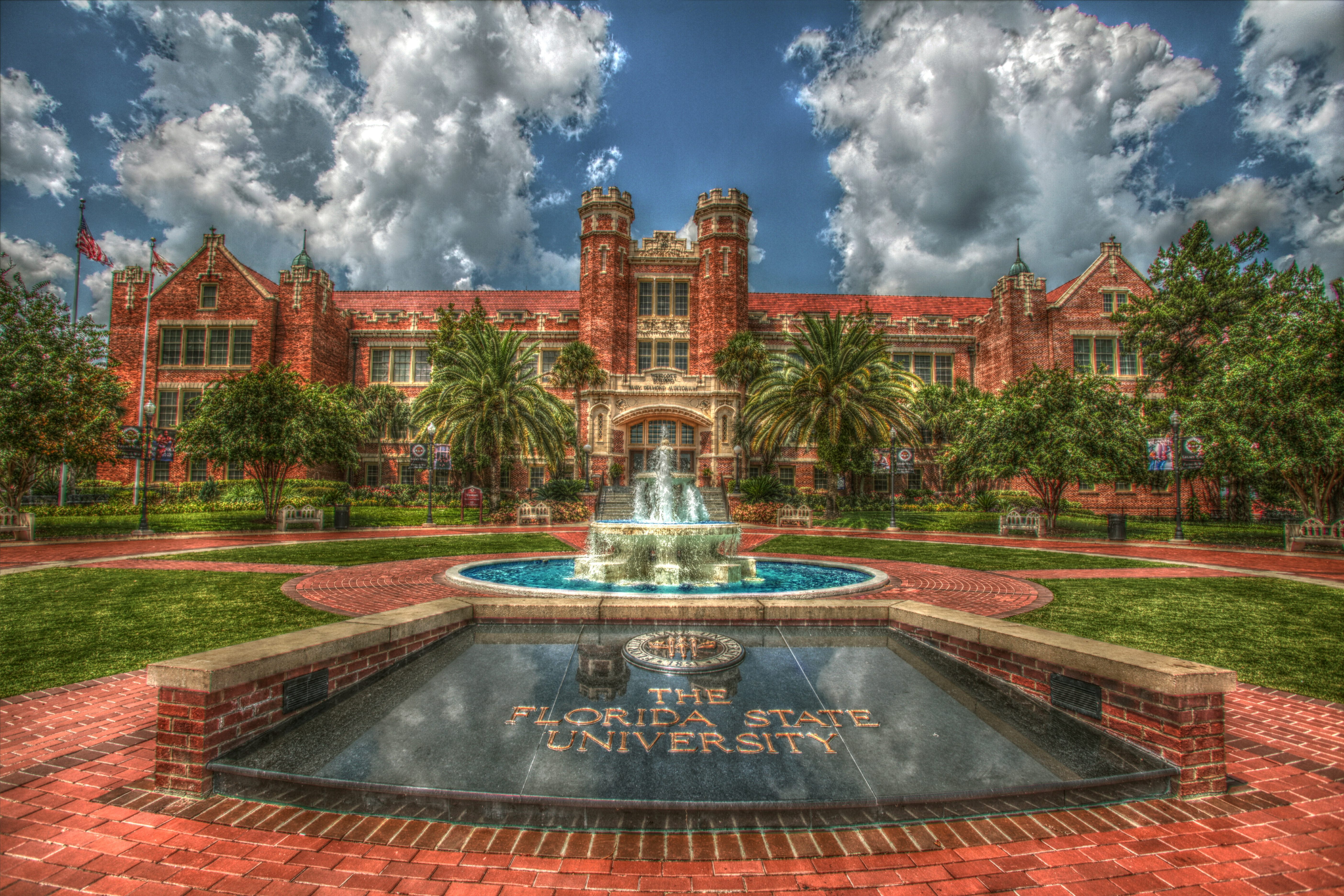 Theses and Dissertations at The Florida State University