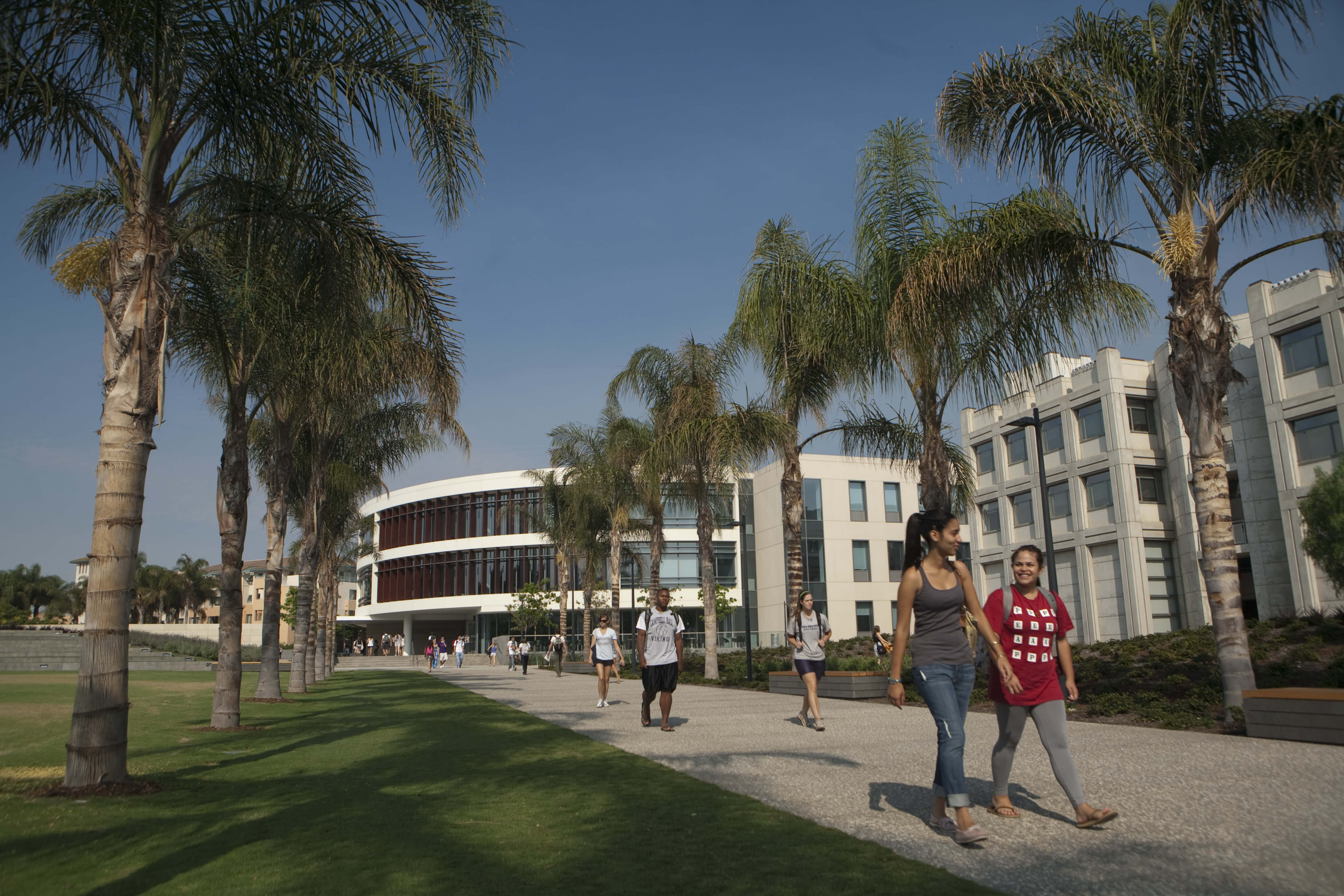 john cook school of business
