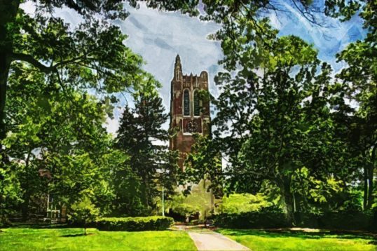 Michigan State University 1 1