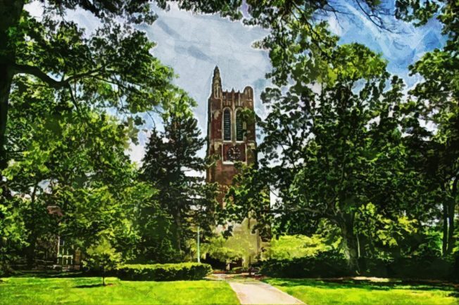 Michigan State University 1 1