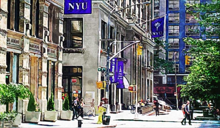 New York University