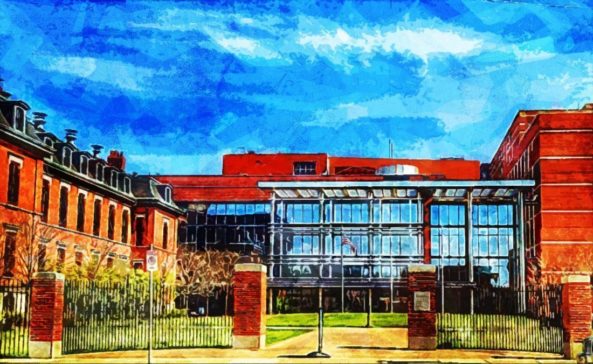 Boston University