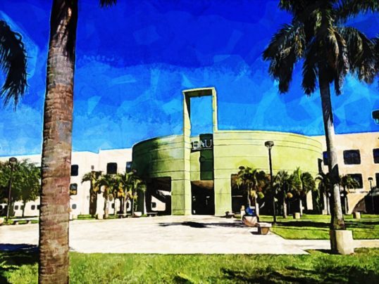 Florida Atlantic University