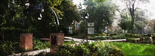 st xavier university
