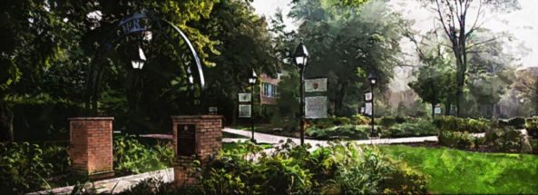 st xavier university
