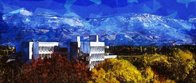 California State University