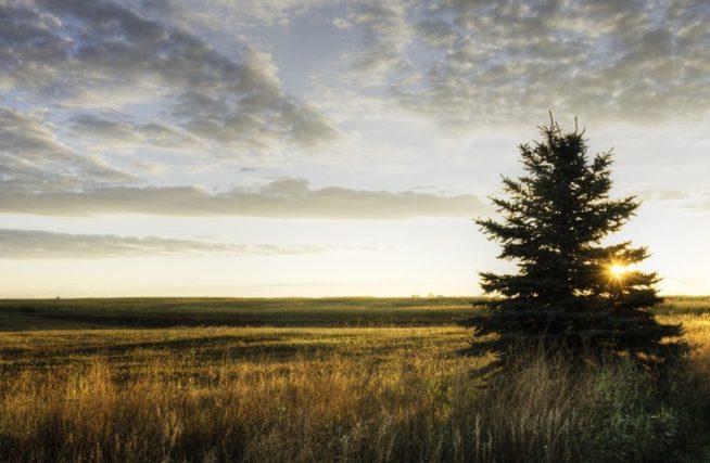 25 Best Colleges In Iowa