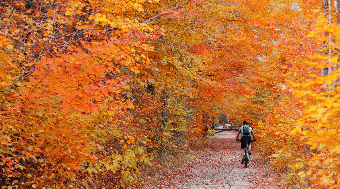 11 best colleges in