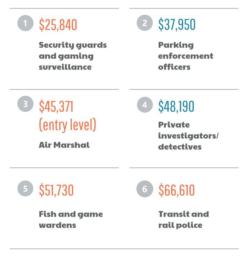 how much money does a detective make per year