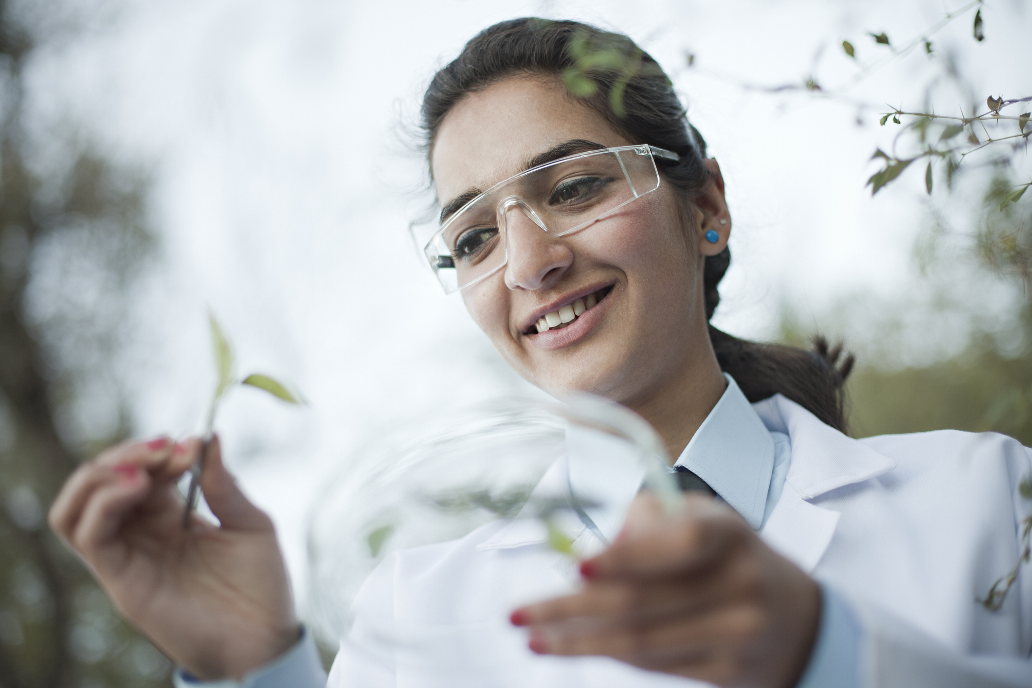Best Bachelor’s In Environmental Science Degrees