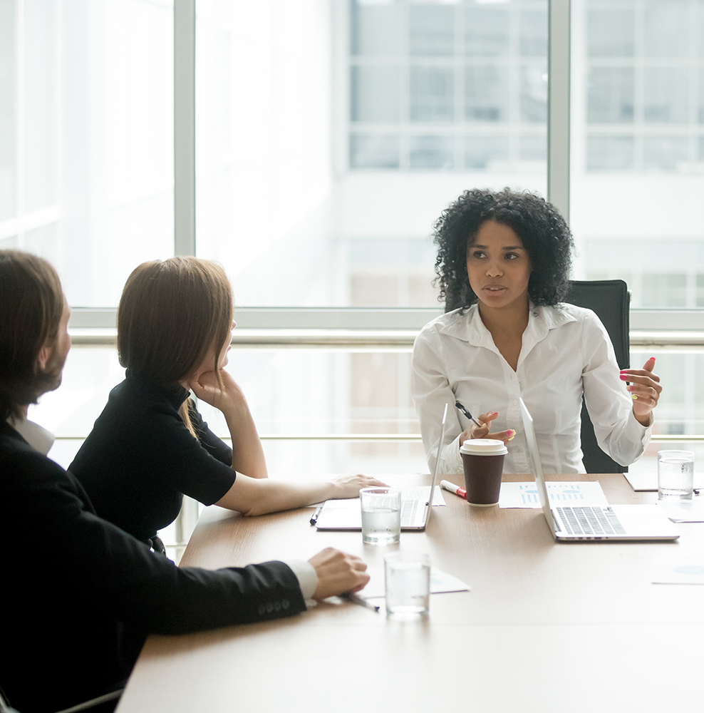 Buisness Woman Leading a Meeting